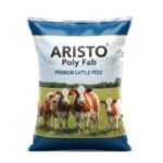 Untitled (350 x 270 px) (8)